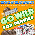 Go Wild for Pennies at Bingo Blowout